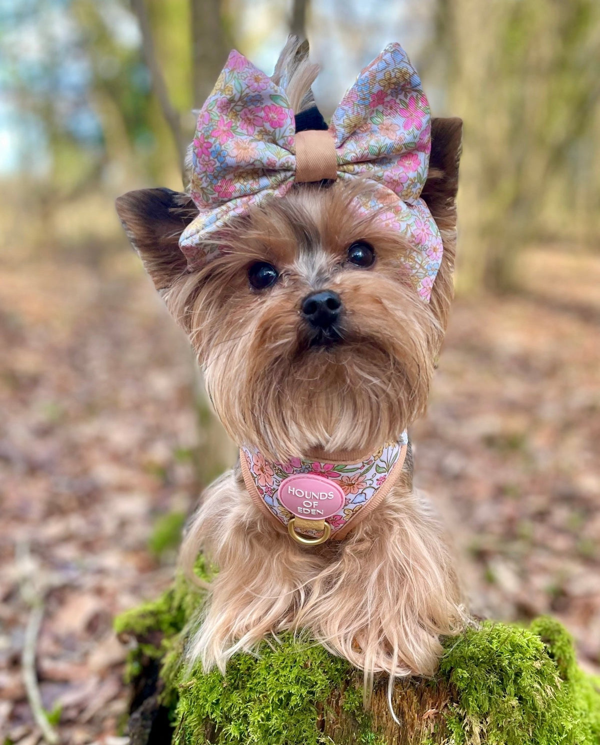 Pastel Petals - Dog Sailor Bow Tie - Pet Supplier Store