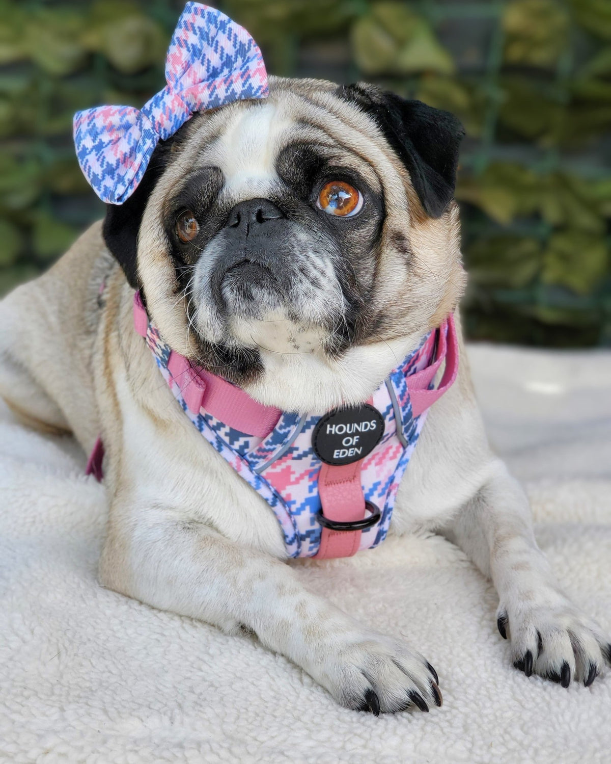 Pink Houndstooth Design Dog Bow Tie - Pet Supplier Store