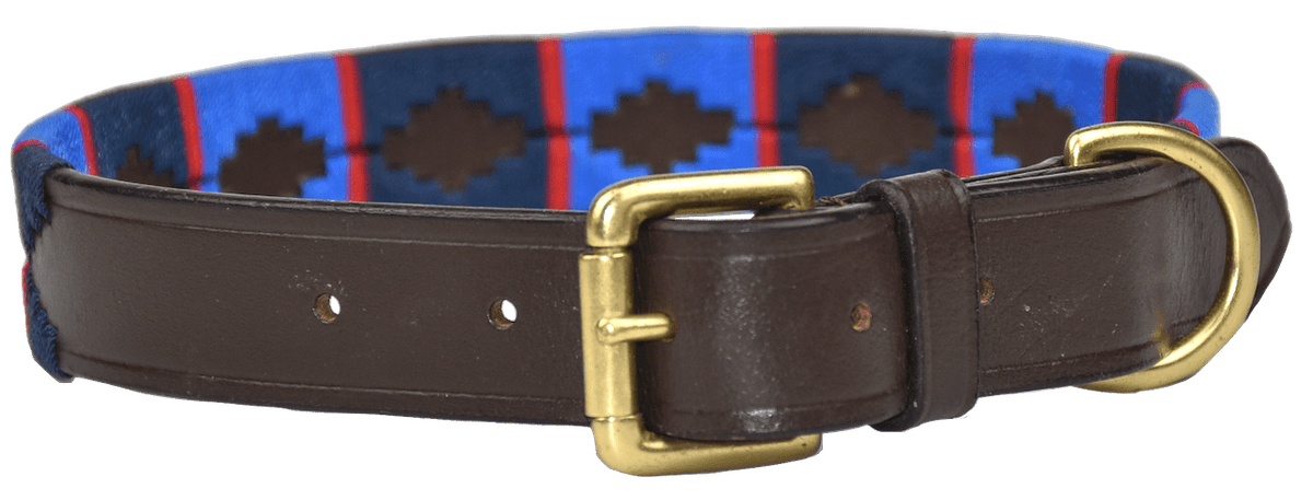 Polo Style Dog Collar - Pet Supplier Store