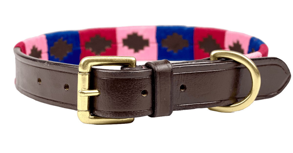 Polo Style Dog Collar - Pet Supplier Store