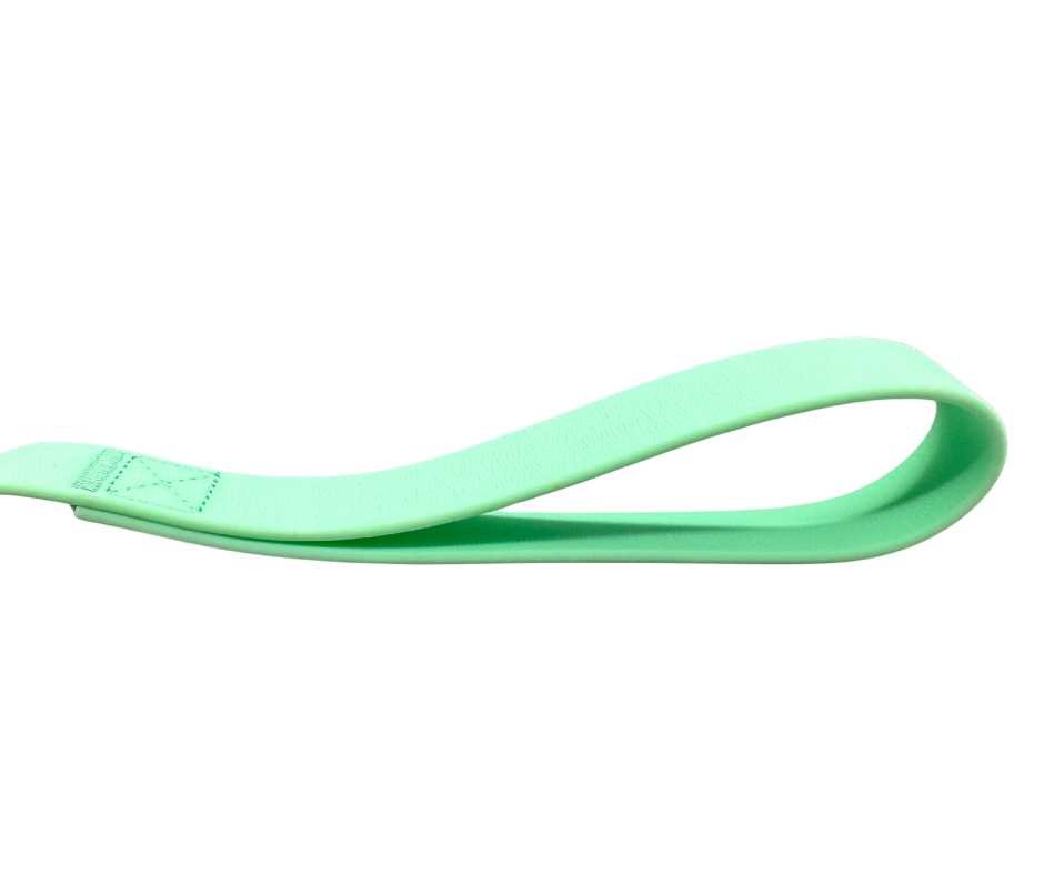 PVC BTactical™ Frog Clip Lead | Pastel Green - Pet Supplier Store