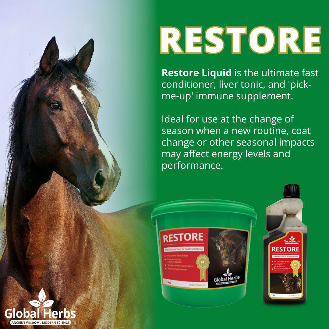 Restore - Global Herbs - Pet Supplier Store