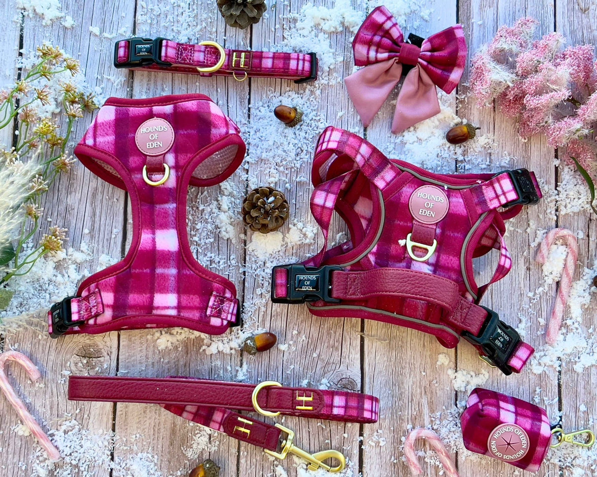Rose Berry Plaid - Leather Dog Lead - Pet Supplier Store