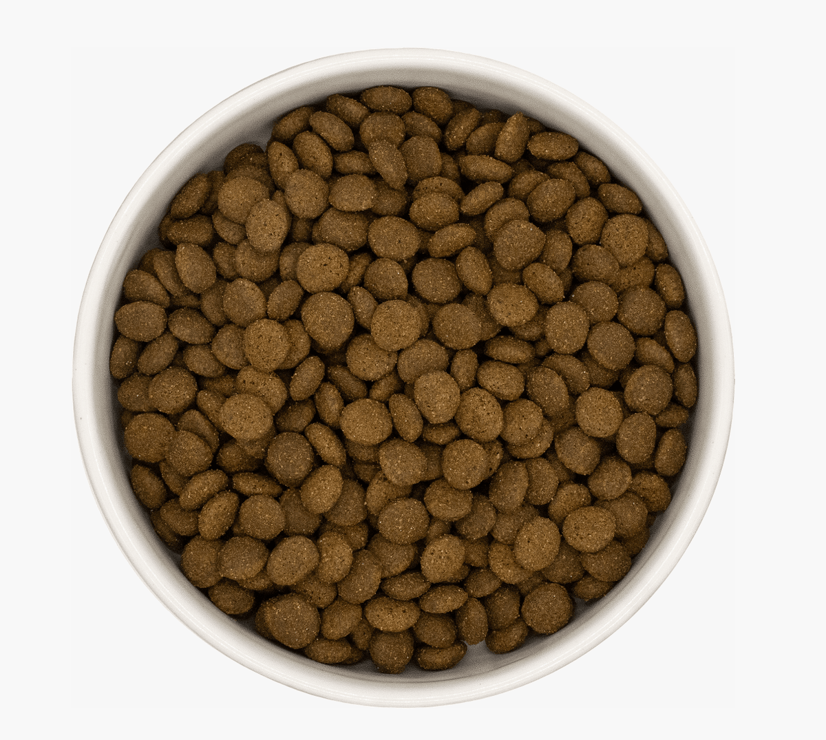 Salmon & White FIsh - Pet Supplier Store
