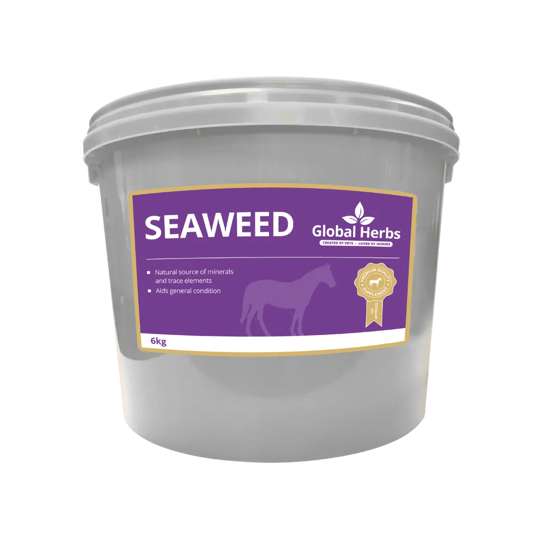 Seaweed - Global Herbs - Pet Supplier Store