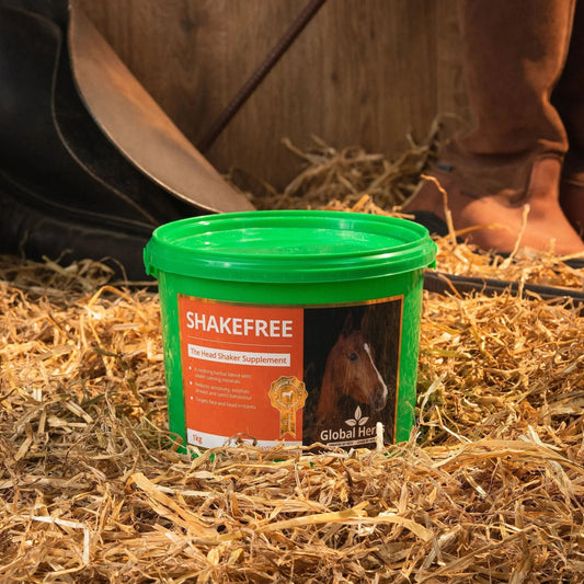 Shakefree 1kg - Global Herbs - Pet Supplier Store