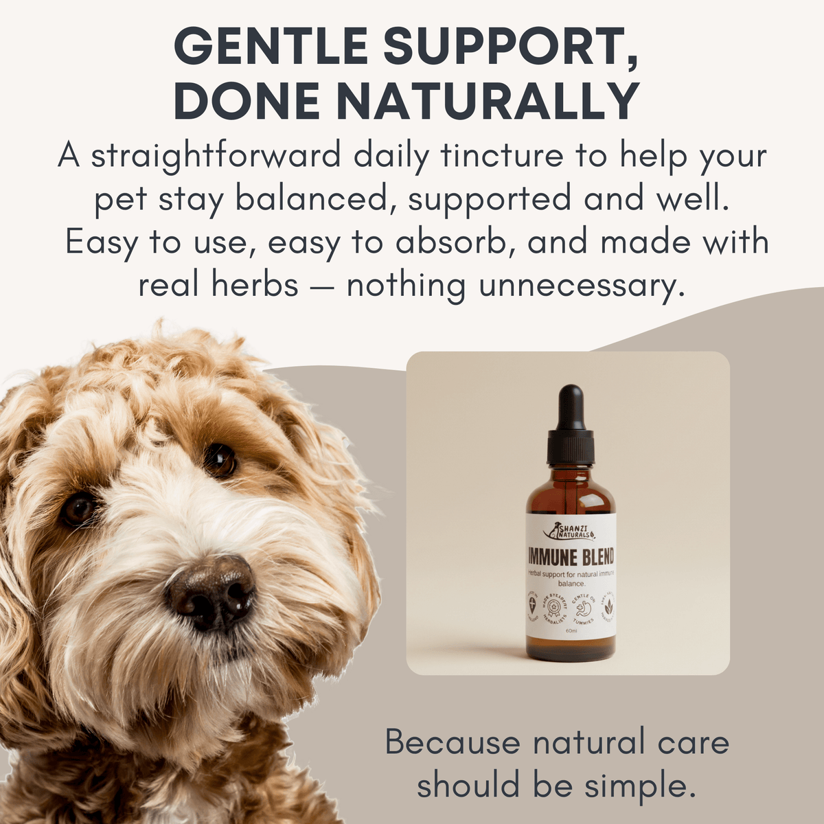 Shanzi Naturals Immune Blend - Pet Supplier Store