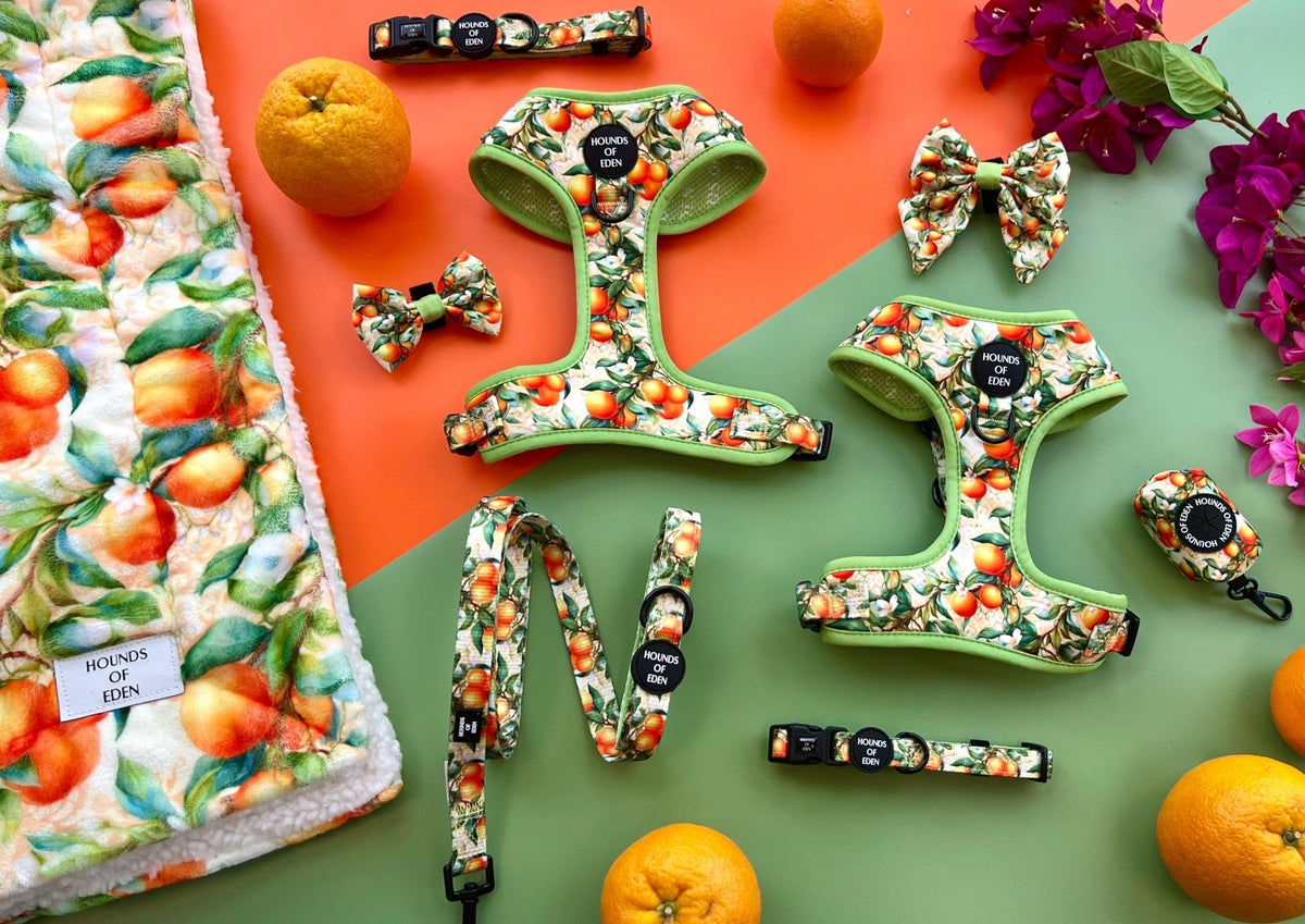 Simply the Zest - Oranges Dog Bow Tie - Pet Supplier Store