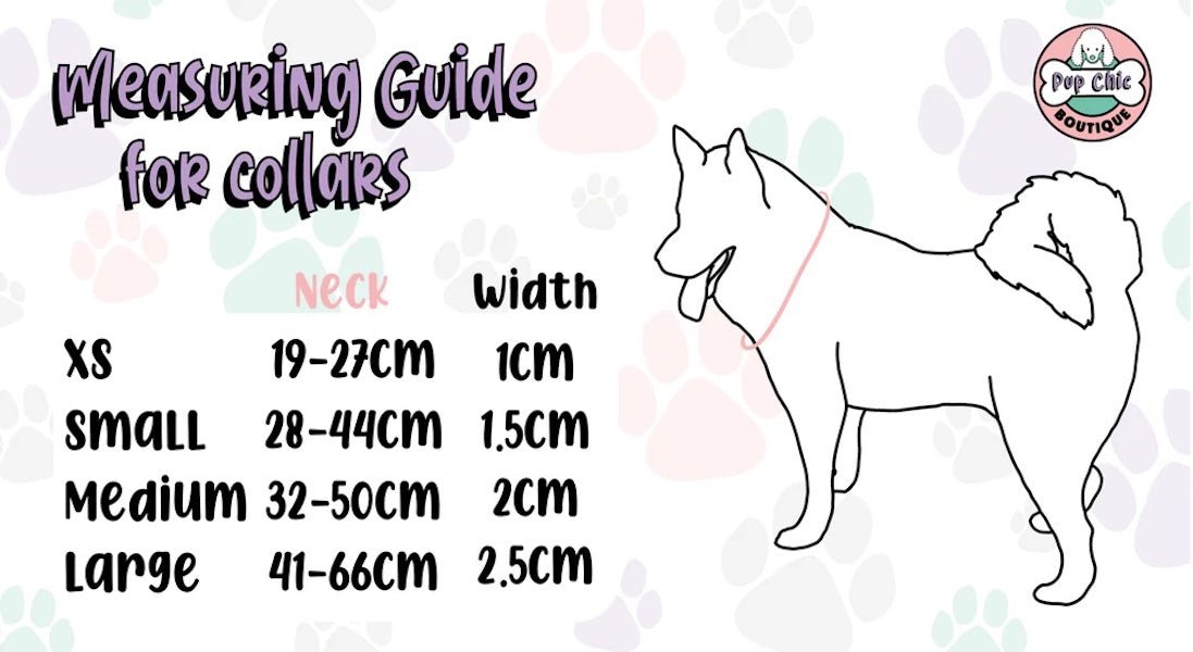Summer Buzzin’ Dog Collar - Pet Supplier Store