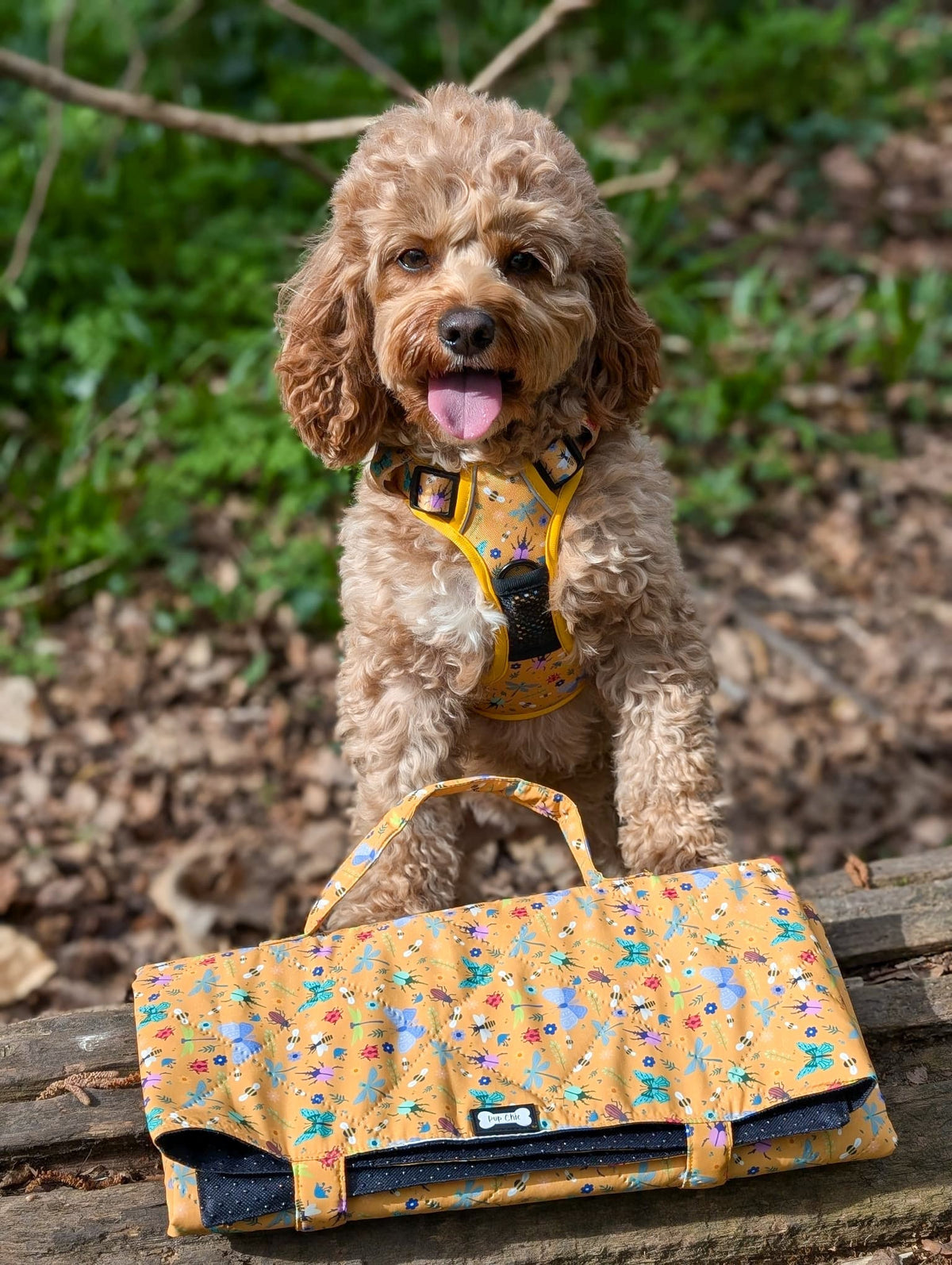 Summer Buzzin' Dog Settle Mat – Lightweight, Waterproof & Travel-Friendly - Pet Supplier Store