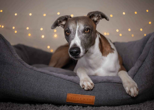 THE BALMORAL | LUXURY HERRINGBONE BED - Pet Supplier Store