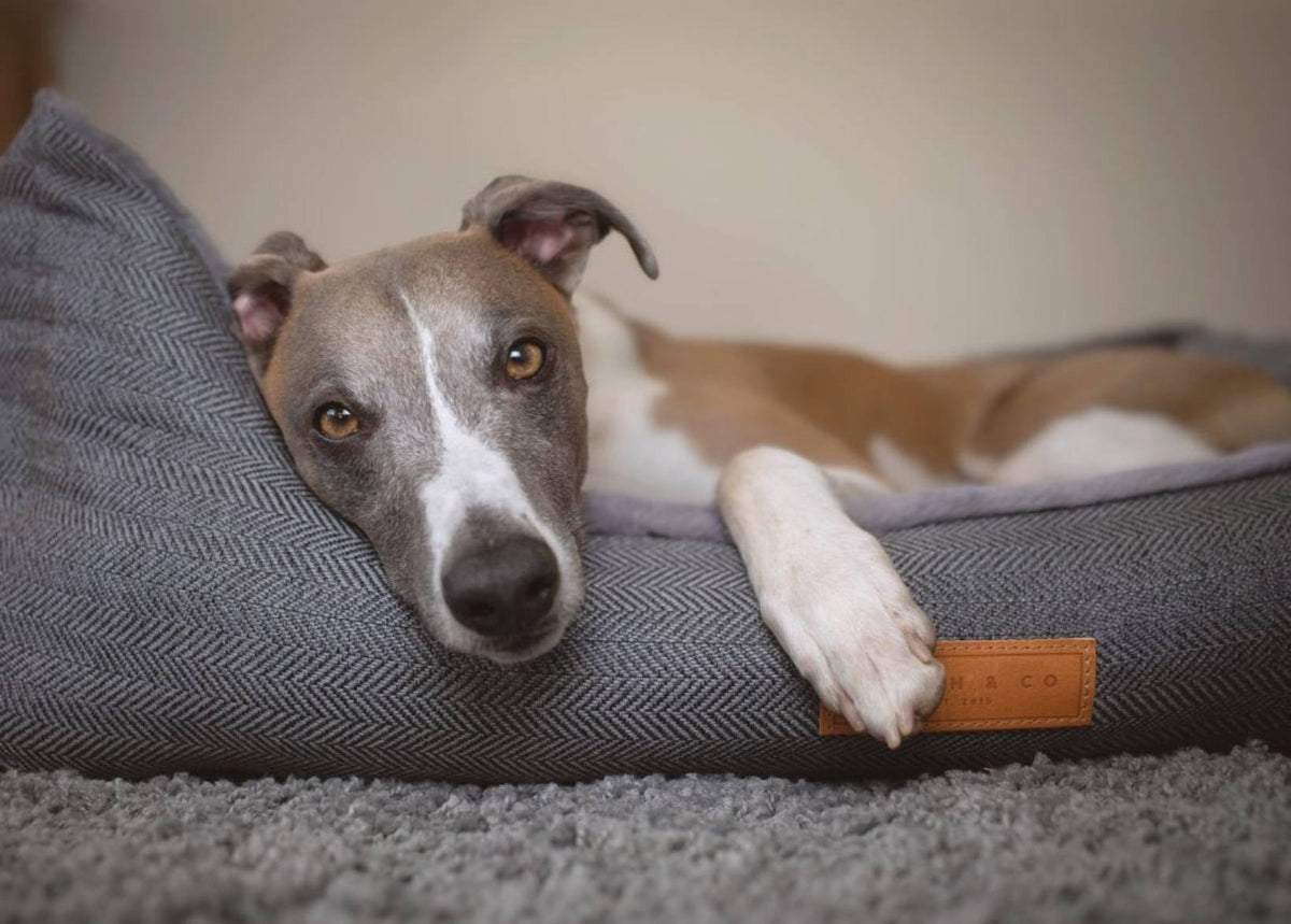 THE BALMORAL | LUXURY HERRINGBONE BED - Pet Supplier Store