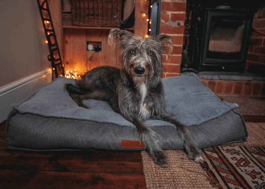 THE BALMORAL | LUXURY PILLOW BED - Pet Supplier Store