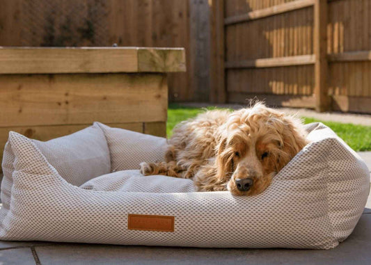 THE CHATSWORTH | LUXURY MEMORY FOAM BED - Pet Supplier Store