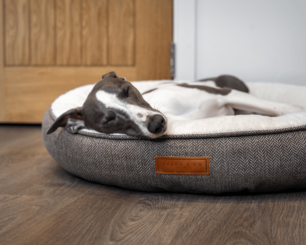 THE LINCOLN | LUXURY DONUT BED - Pet Supplier Store