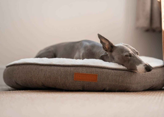 THE LINCOLN | LUXURY DONUT BED - Pet Supplier Store