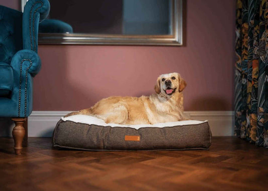 THE LINCOLN | LUXURY PILLOW BED - Pet Supplier Store
