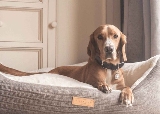The Lincoln | Luxury Tweed Bed - Pet Supplier Store