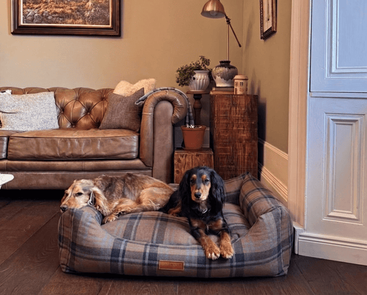 THE MARLOW | LUXURY TARTAN BED - Pet Supplier Store