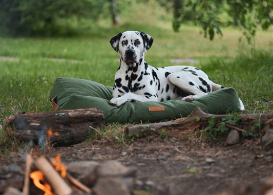THE RICHMOND | LUXURY PILLOW BED - Pet Supplier Store