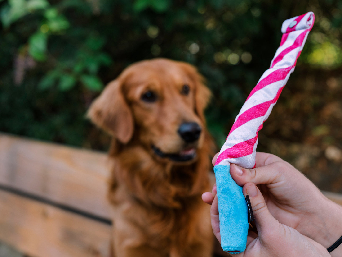 Party Time Raise The Woof Party Horn Plush Dog Toy