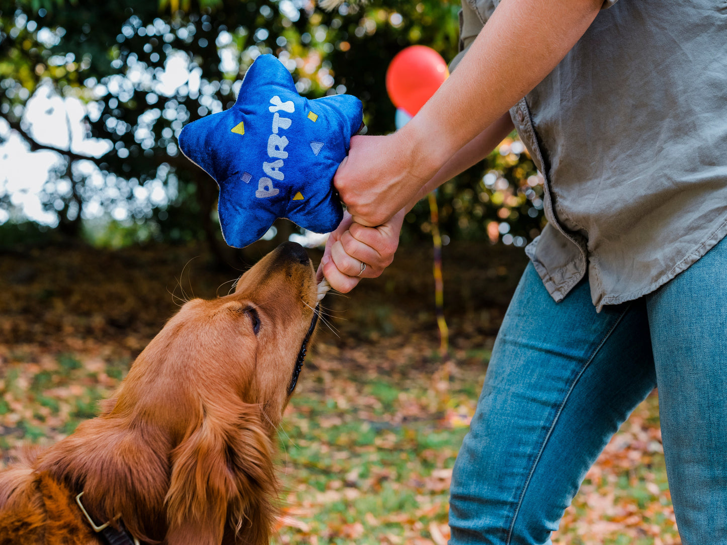 Party Time Best Day Ever Balloon Plush Dog Toy