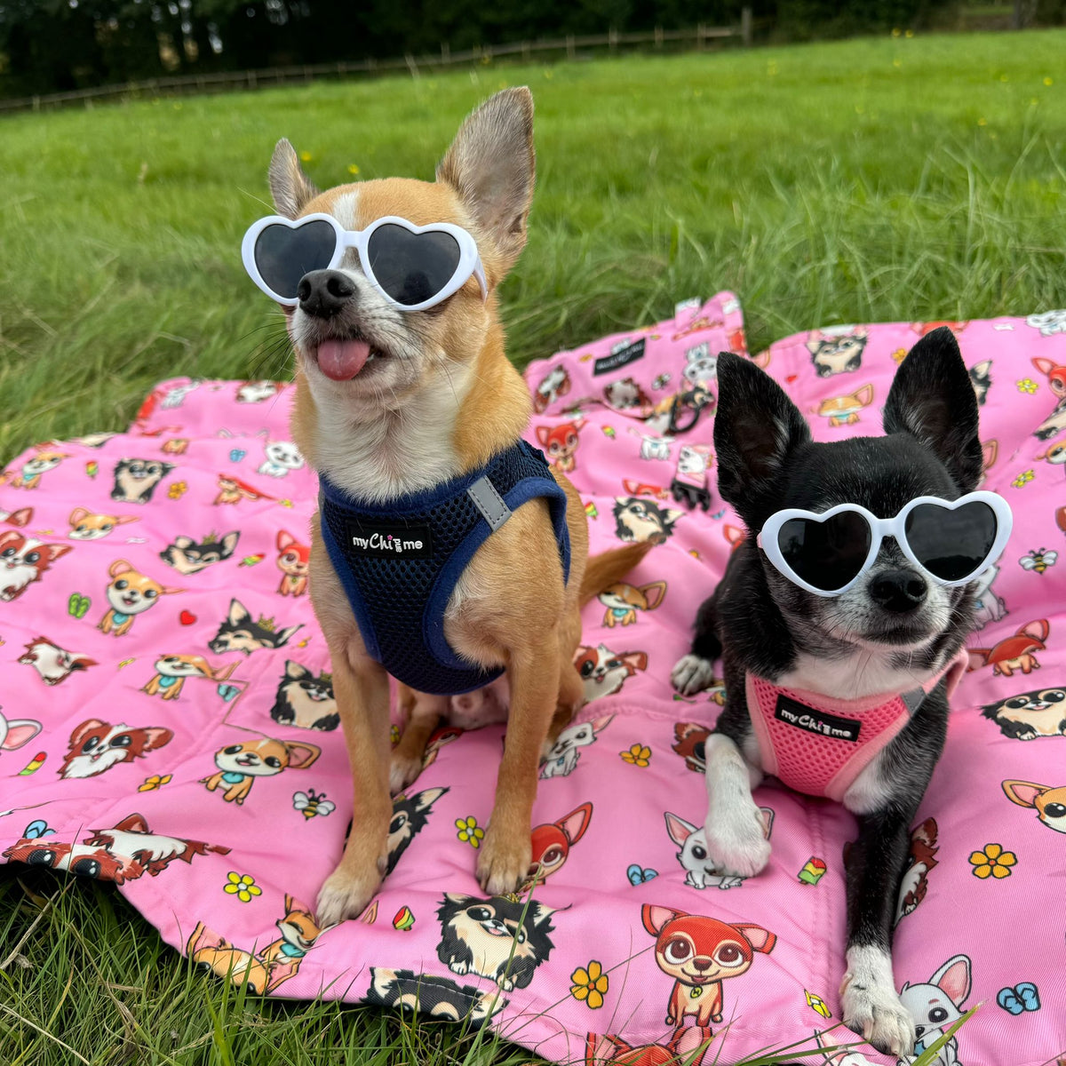 Tiny Trails Step In Air Mesh Puppy and Small Dog Harness Pink - Pet Supplier Store