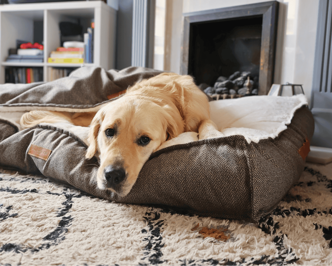 THE LINCOLN | LUXURY PILLOW BED