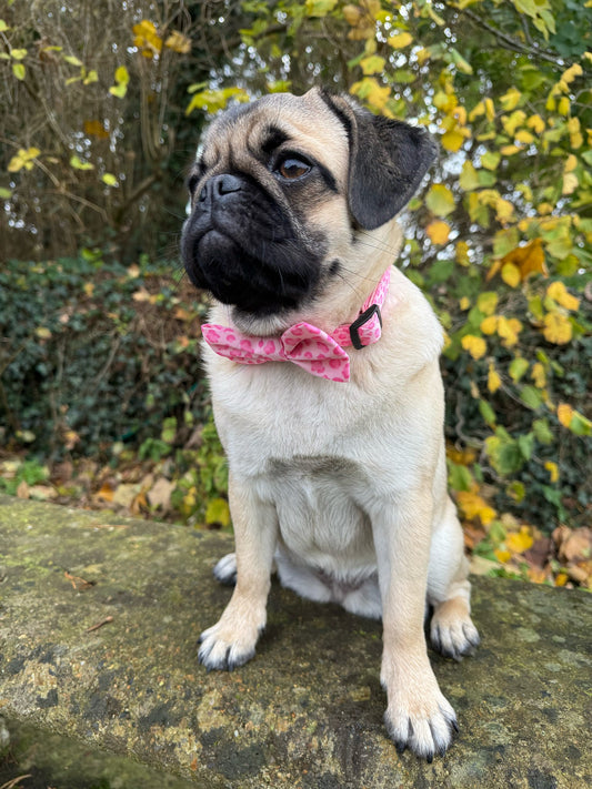 Walk on the Wild Side Bow Tie - Pet Supplier Store