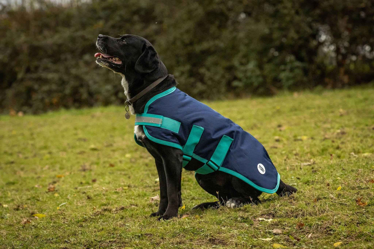 Waterproof Dog Coat - Navy - Pet Supplier Store