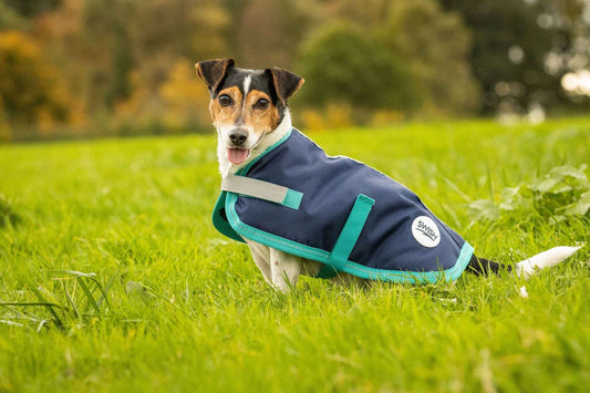 Waterproof Dog Coat - Navy - Pet Supplier Store