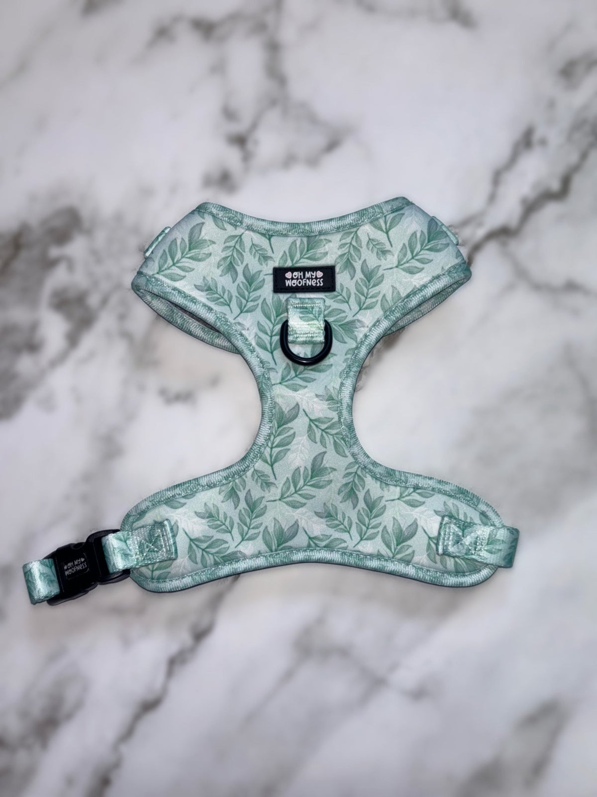 Willow Wanders Harness - Pet Supplier Store