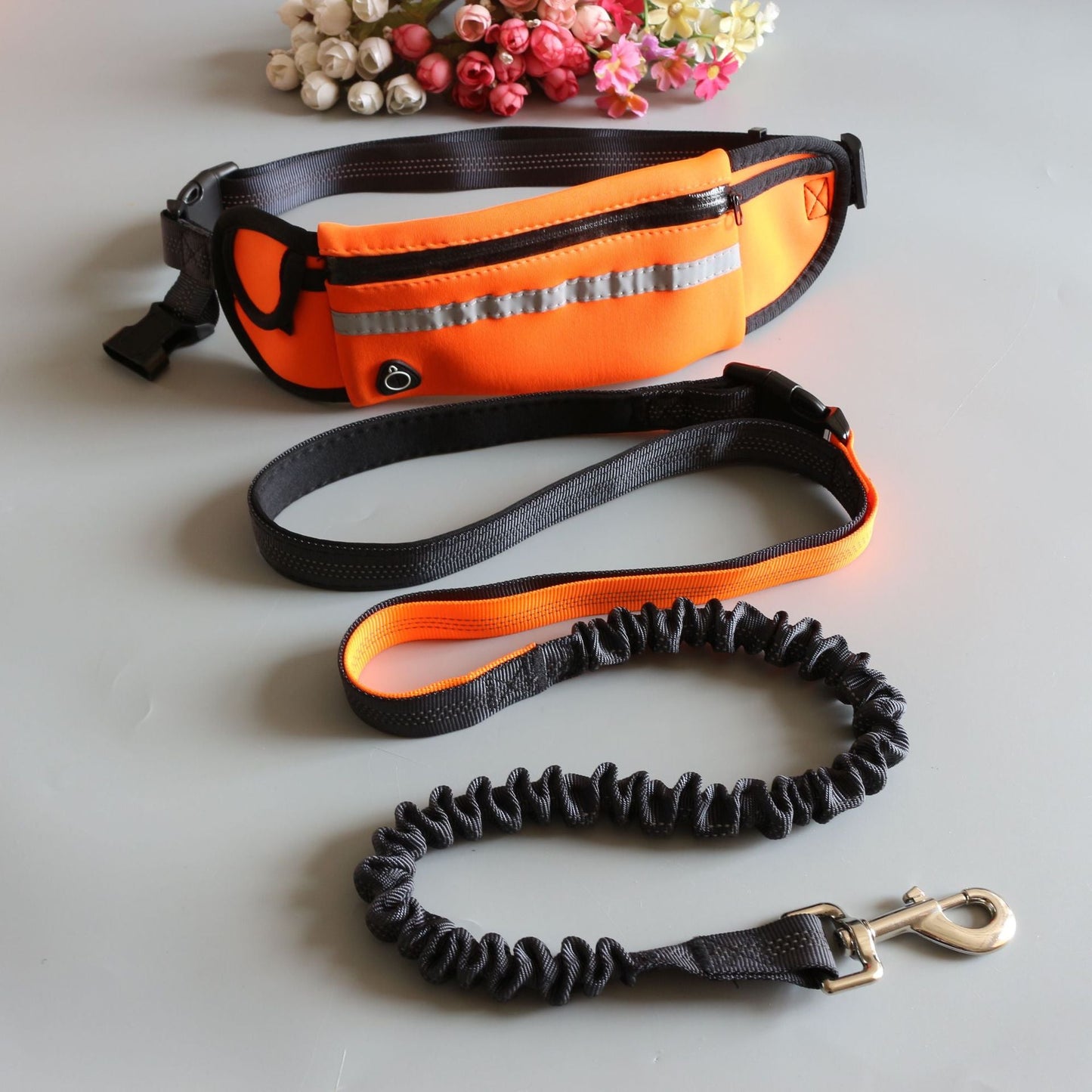 Dog Sport large Running traction rope Belt - Pet Supplier Store