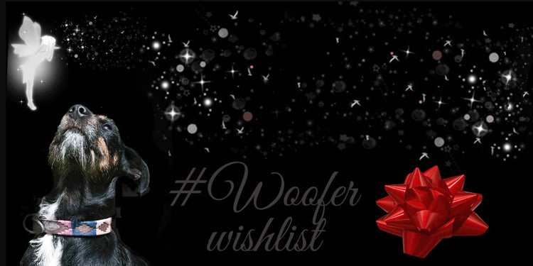 Christmas pet collars