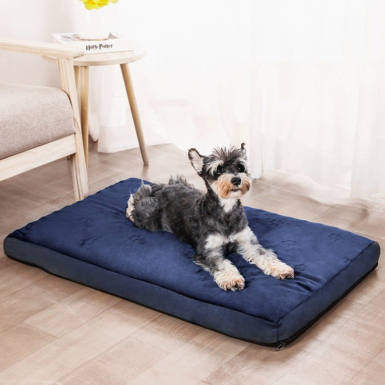 Dog beds and pet carriers - Pet Supplier Store