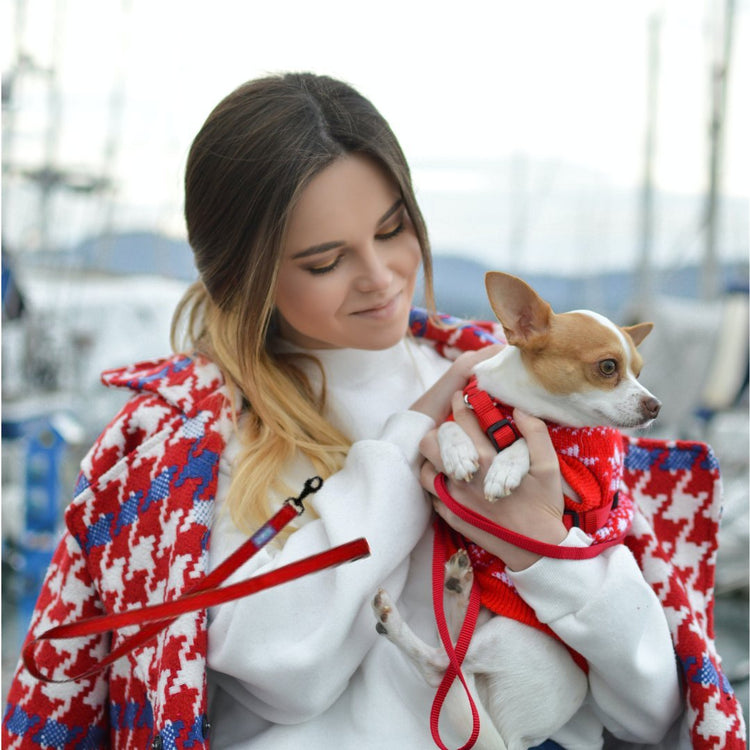 Dog collars leads and styles harnesses - Pet Supplier Store