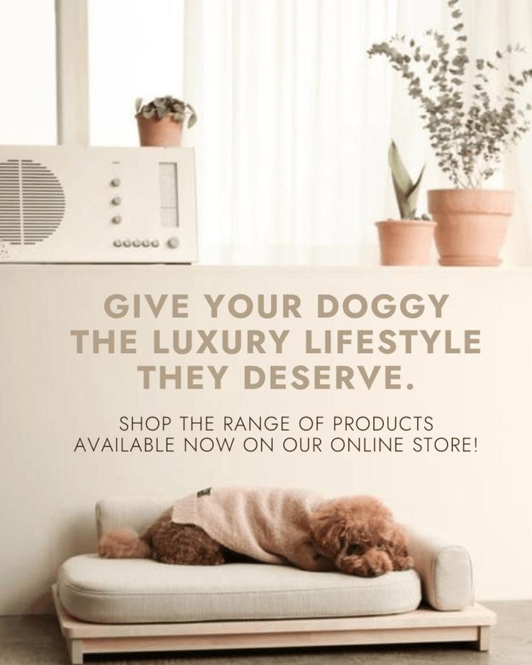 Dog pampering and lifestyle accessories - Pet Supplier Store