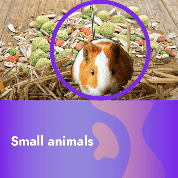 Small animal food and accessories - Pet Supplier Store