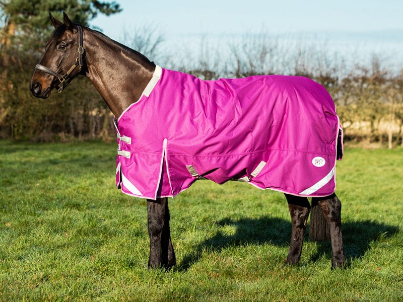 0g Detachable Neck Turnout Rug - Mulberry - Pet Supplier Store