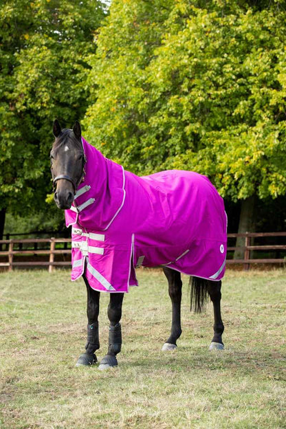 0g Detachable Neck Turnout Rug - Mulberry - Pet Supplier Store