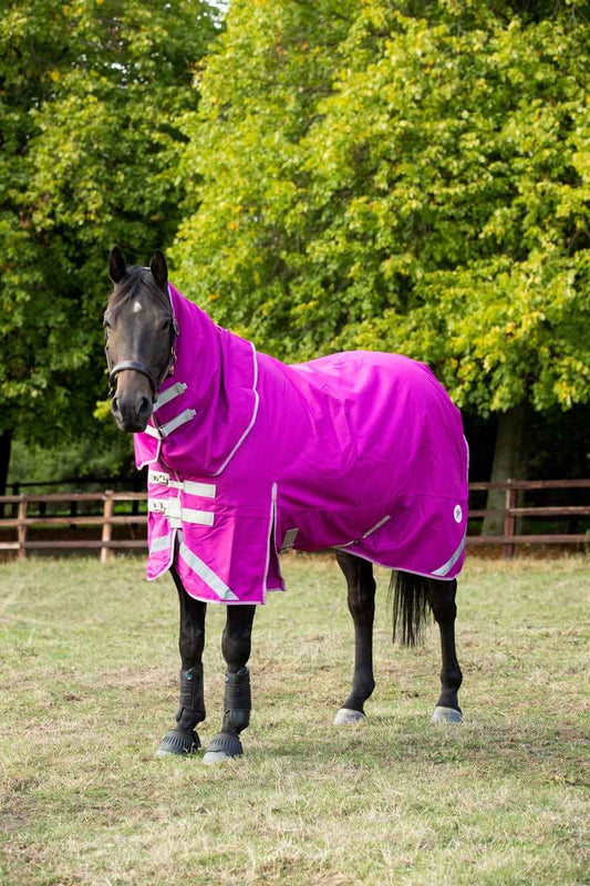 0g Detachable Neck Turnout Rug - Mulberry - Pet Supplier Store