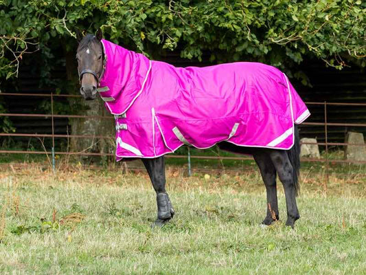 0g Detachable Neck Turnout Rug - Mulberry - Pet Supplier Store
