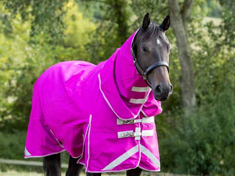 0g Detachable Neck Turnout Rug - Mulberry - Pet Supplier Store