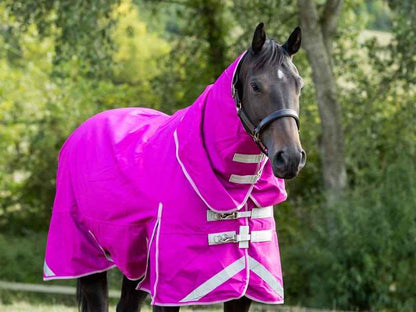 0g Detachable Neck Turnout Rug - Mulberry - Pet Supplier Store