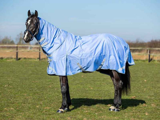 100g Detachable Neck Turnout Rug - Cornflower - Pet Supplier Store