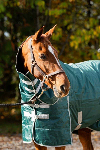 100g Stable Rug With Detachable Neck - Hunter Green - Pet Supplier Store