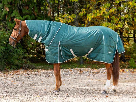 100g Stable Rug With Detachable Neck - Hunter Green - Pet Supplier Store