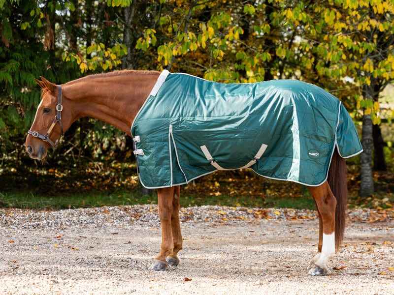 100g Stable Rug With Detachable Neck - Hunter Green - Pet Supplier Store