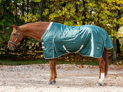 100g Stable Rug With Detachable Neck - Hunter Green - Pet Supplier Store