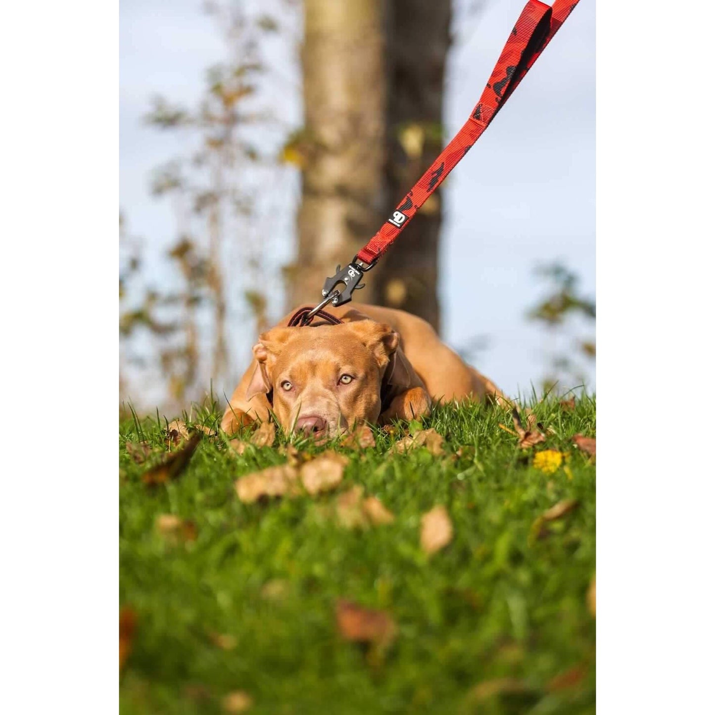 150cm Sport Lead Red Camo - Pet Supplier Store
